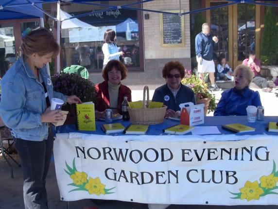 Photo of the Norwood Evening Garden Club booth at Norwood Day 2016