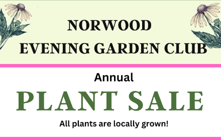 Plant Sale